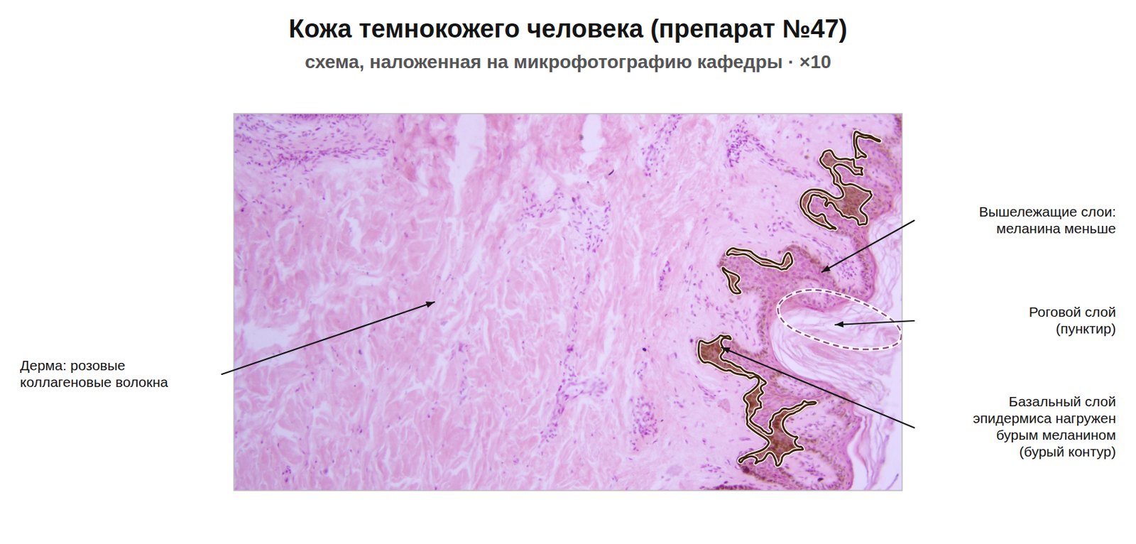 patan06-47-nalozhenie.jpg