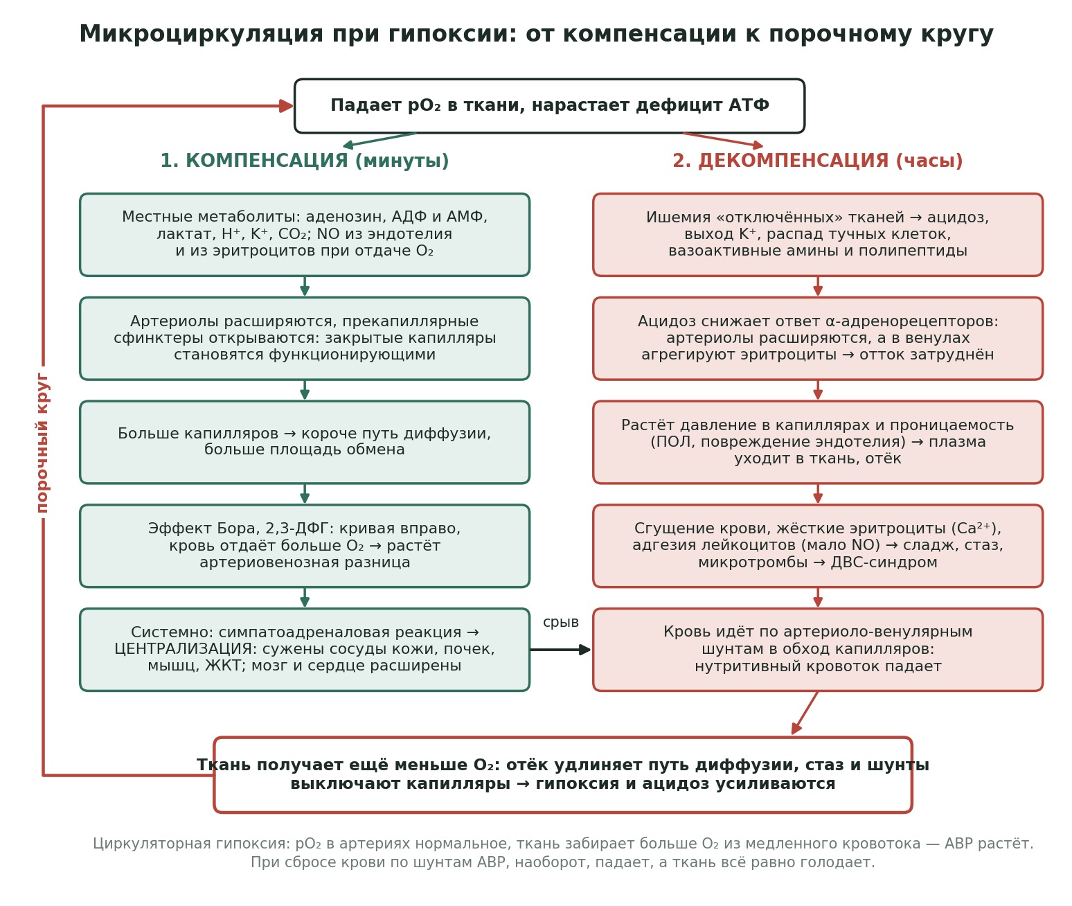 patfiz05-mikrocirkulyaciya-shema.jpg