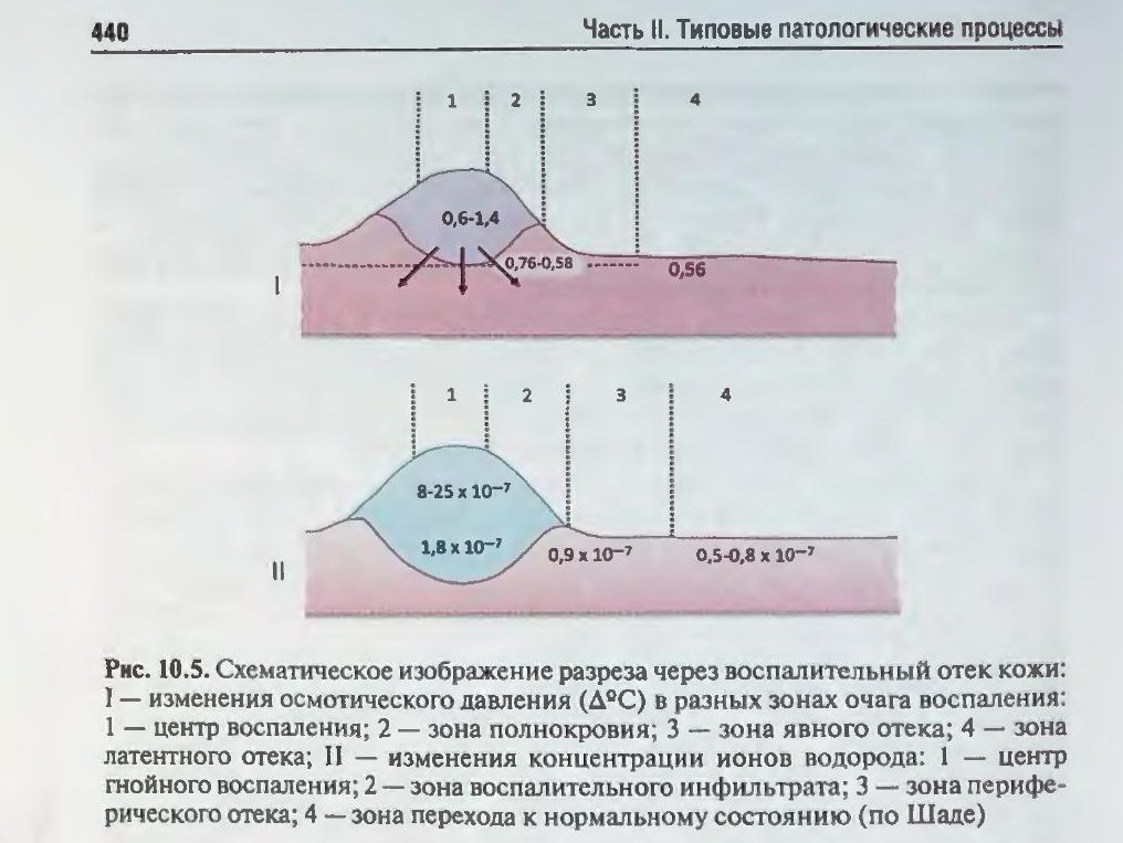 patfiz06-novickij-10-5.jpg