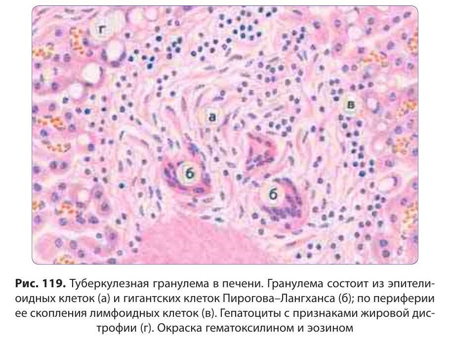 patfiz06-paukov-119.jpg