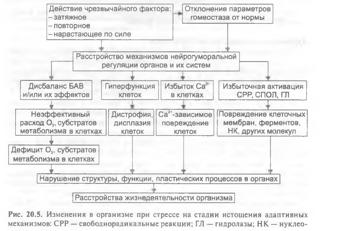 patfiz07-litvickij-20-5.jpg