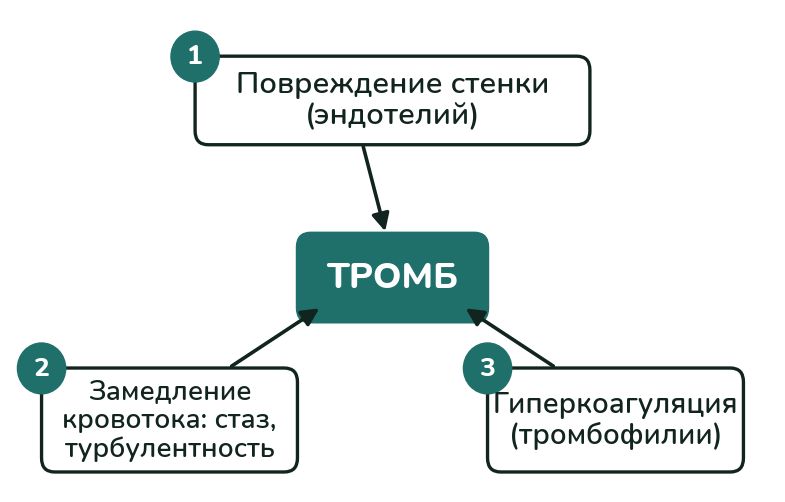 Триада Вирхова
